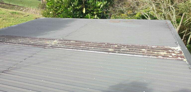 Before roof clean